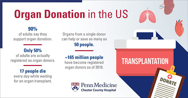 United States Organ Donation Statistics