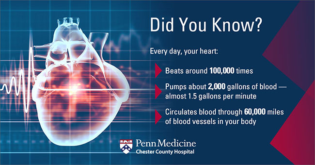 Normal blood pressure and pulse rate chart discount
