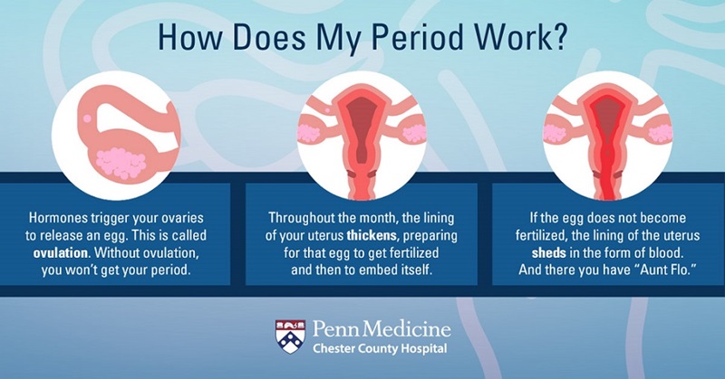 Menstruation: Periods, the menstrual cycle, PMS, and treatment