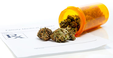 Pre-employment Drug Testing: An Overview of THC Exclusion Testing